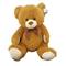 Brown Cuddly Teddy