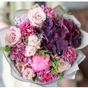 Pink Splendour