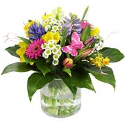 Spring Sensation