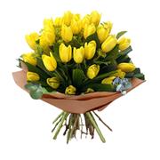 Tulip Sensation