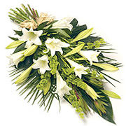 Longi Lily Tied Sheaf 