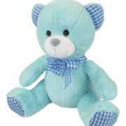 Baby Boy Bear