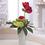 Contemporary Christmas