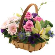 Pretty in Pink Trug