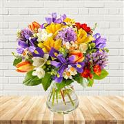 Spring Joys