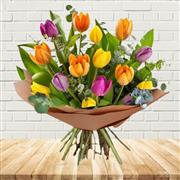 Adorable Tulips