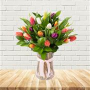 Simply Tulips