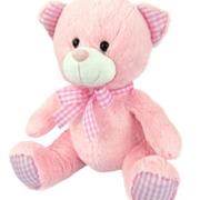 Baby Girl Bear