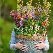 Virtual Basket