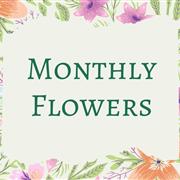 Monthly Flowers