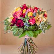 Roses &amp; Cymbids