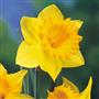 Happy Mother's Day
