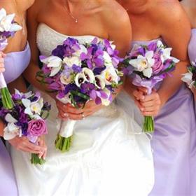fwthumbBridesmaids.jpg